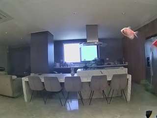 voyeurcam-casa-salsa-fishtank