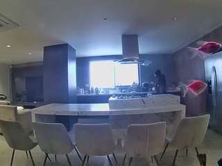 voyeurcam-casa-salsa-fishtank