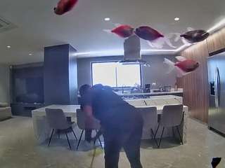 voyeurcam-casa-salsa-fishtank