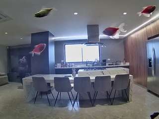 voyeurcam-casa-salsa-fishtank