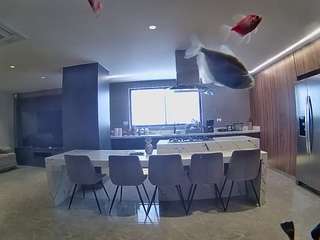 voyeurcam-casa-salsa-fishtank