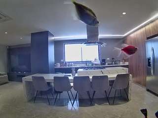 voyeurcam-casa-salsa-fishtank