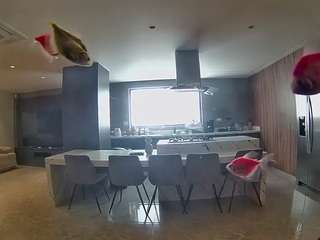 voyeurcam-casa-salsa-fishtank