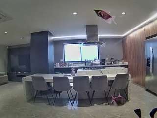 voyeurcam-casa-salsa-fishtank