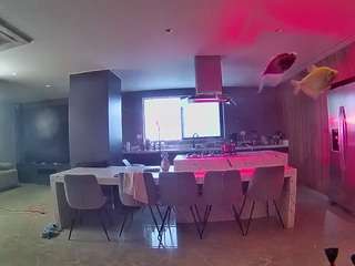 voyeurcam-casa-salsa-fishtank
