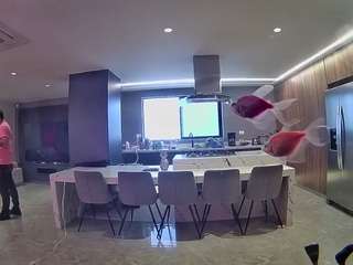 voyeurcam-casa-salsa-fishtank
