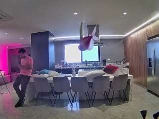 voyeurcam-casa-salsa-fishtank