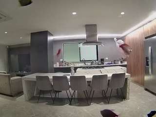 voyeurcam-casa-salsa-fishtank