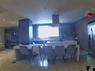 voyeurcam-casa-salsa-fishtank