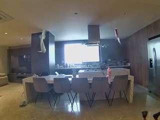 voyeurcam-casa-salsa-fishtank