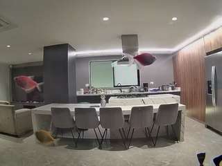 voyeurcam-casa-salsa-fishtank