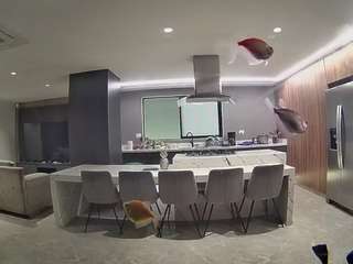 voyeurcam-casa-salsa-fishtank