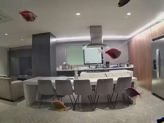 voyeurcam-casa-salsa-fishtank