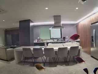 voyeurcam-casa-salsa-fishtank
