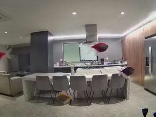 voyeurcam-casa-salsa-fishtank