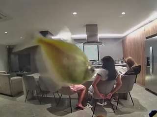 voyeurcam-casa-salsa-fishtank