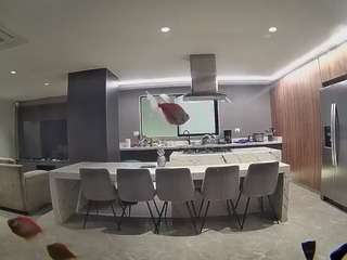 voyeurcam-casa-salsa-fishtank