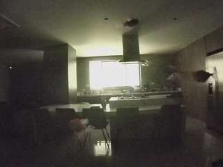 voyeurcam-casa-salsa-fishtank