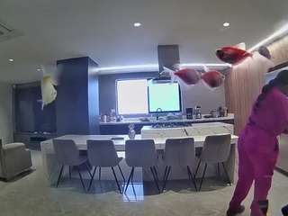 voyeurcam-casa-salsa-fishtank