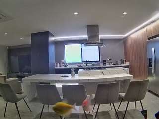 voyeurcam-casa-salsa-fishtank