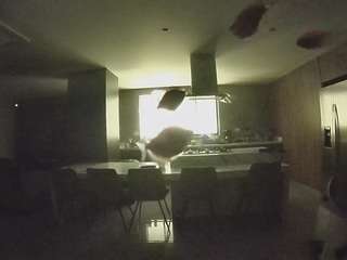voyeurcam-casa-salsa-fishtank