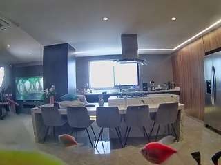 voyeurcam-casa-salsa-fishtank