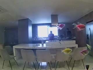voyeurcam-casa-salsa-fishtank camsoda