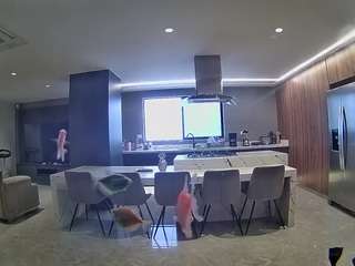 voyeurcam-casa-salsa-fishtank