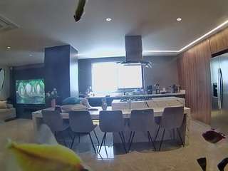 voyeurcam-casa-salsa-fishtank