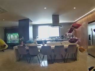 voyeurcam-casa-salsa-fishtank