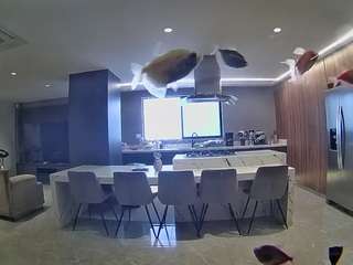 voyeurcam-casa-salsa-fishtank