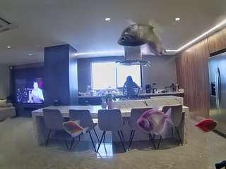 voyeurcam-casa-salsa-fishtank