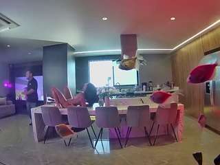 voyeurcam-casa-salsa-fishtank