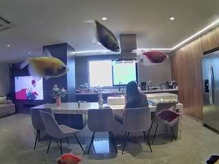 voyeurcam-casa-salsa-fishtank