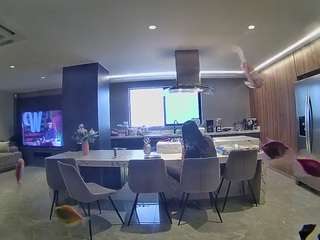 voyeurcam-casa-salsa-fishtank