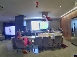 voyeurcam-casa-salsa-fishtank