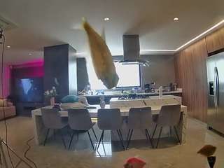 voyeurcam-casa-salsa-fishtank