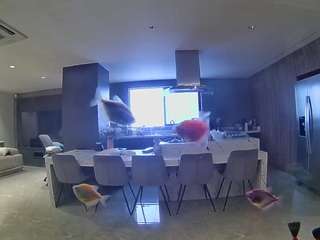 voyeurcam-casa-salsa-fishtank