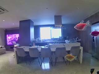 voyeurcam-casa-salsa-fishtank