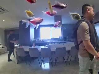voyeurcam-casa-salsa-fishtank