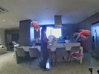 voyeurcam-casa-salsa-fishtank