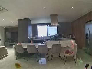 voyeurcam-casa-salsa-fishtank