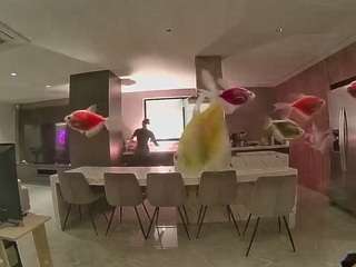 voyeurcam-casa-salsa-fishtank