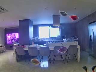 voyeurcam-casa-salsa-fishtank