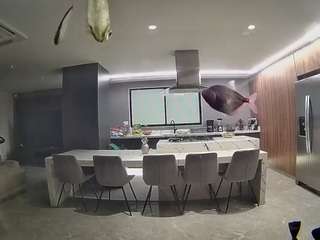voyeurcam-casa-salsa-fishtank