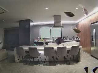 voyeurcam-casa-salsa-fishtank
