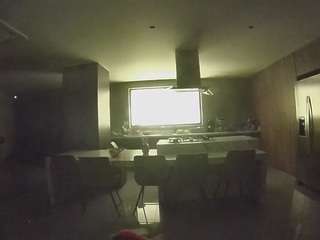 voyeurcam-casa-salsa-fishtank