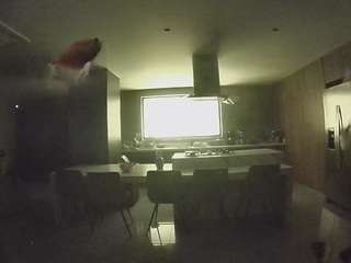 voyeurcam-casa-salsa-fishtank