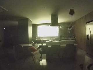 voyeurcam-casa-salsa-fishtank
