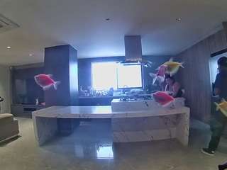 voyeurcam-casa-salsa-fishtank